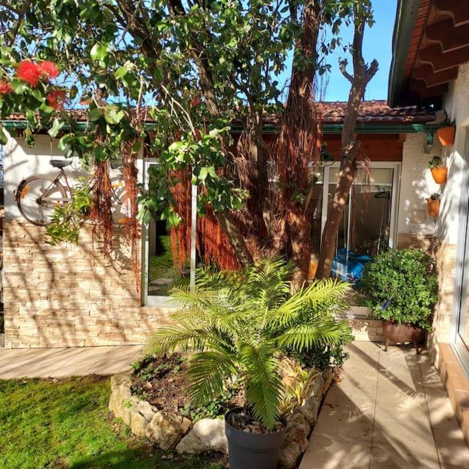 Willa Casat5, Ferias, Piscina Privativa. Agueda, Aveiro Zewnętrze zdjęcie