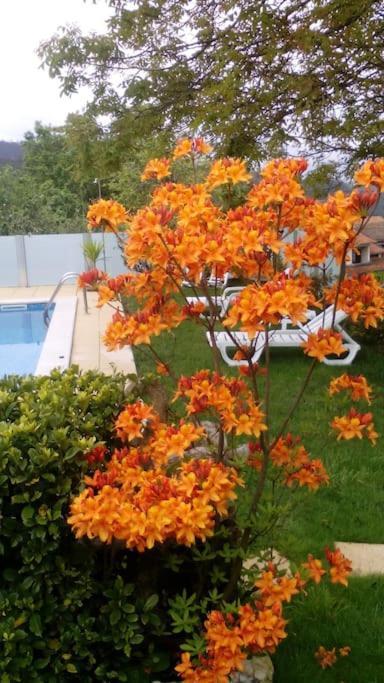 Willa Casat5, Ferias, Piscina Privativa. Agueda, Aveiro Zewnętrze zdjęcie